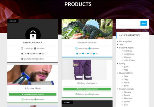 揭秘電商利基市場(chǎng)挖掘術(shù) 兩步精準(zhǔn)打造你的2019年度爆款